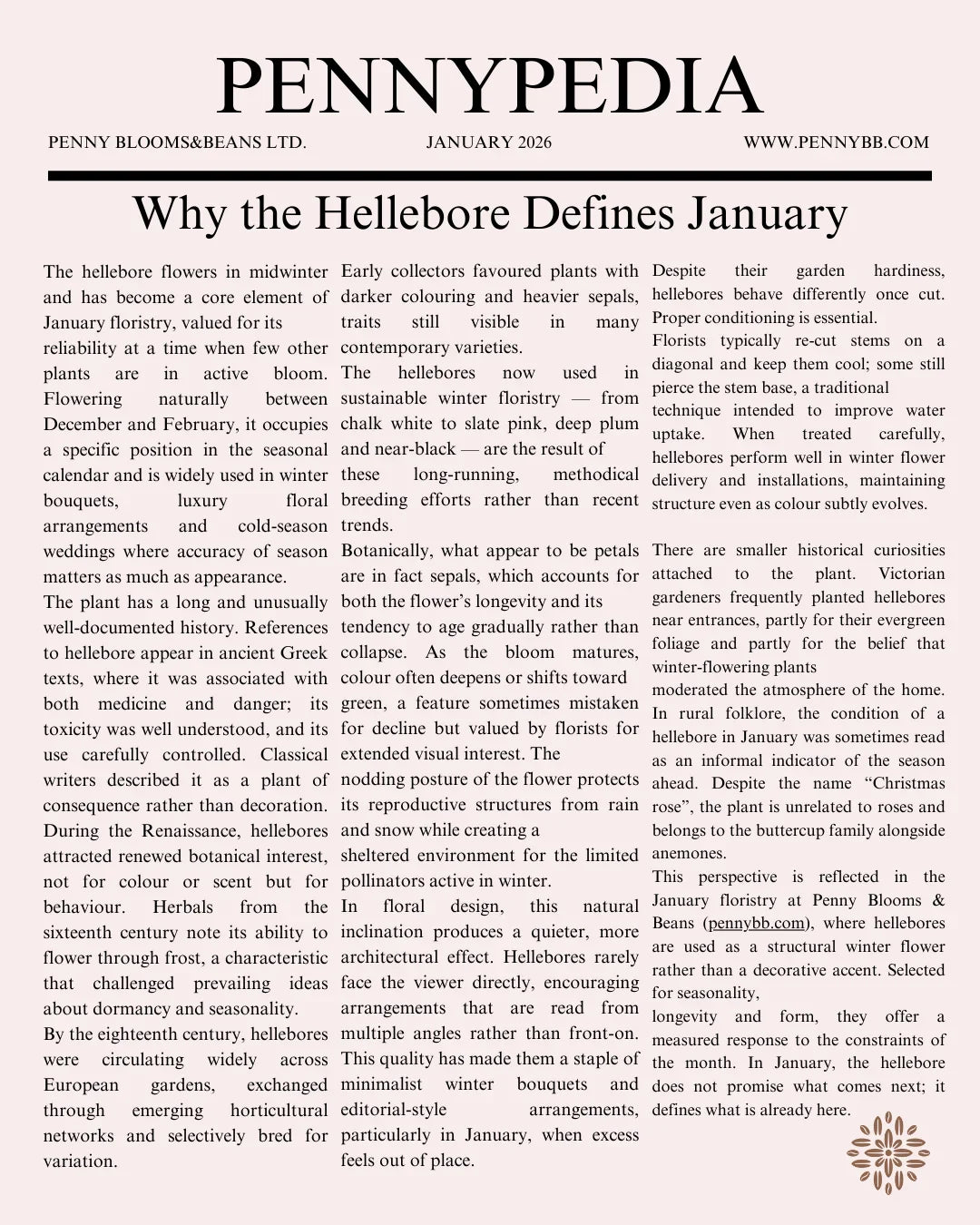 Why the Hellebore Defines January