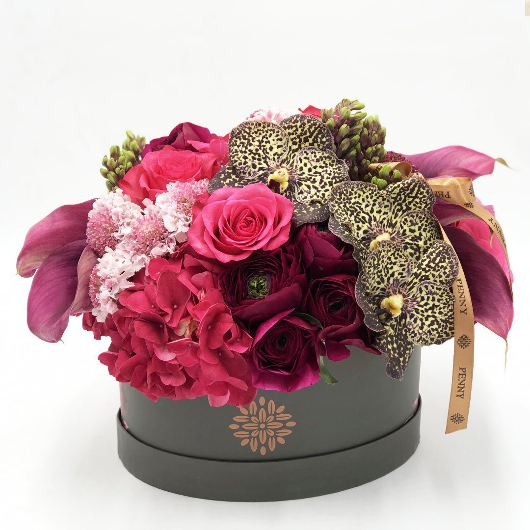 Hatboxes