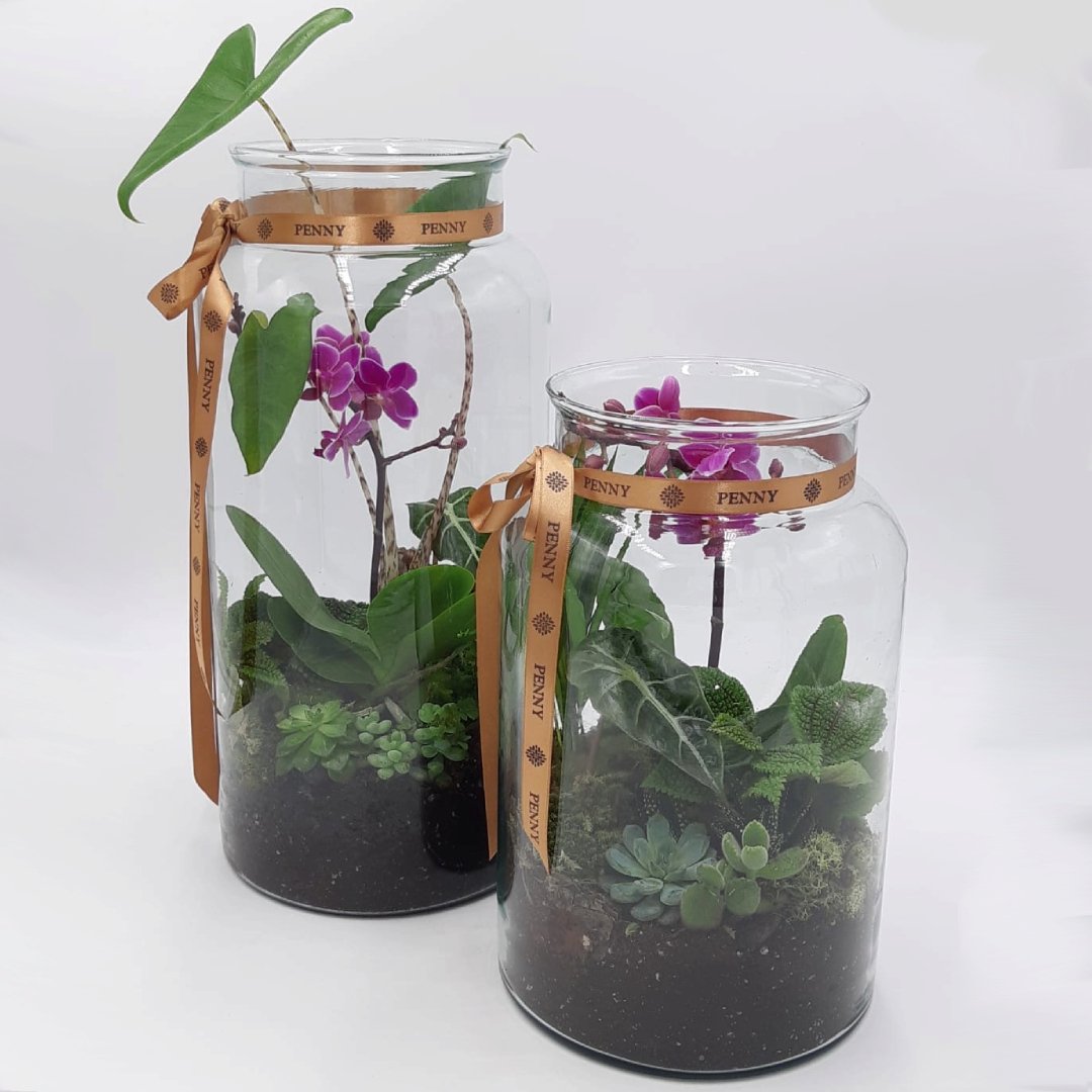 Curated Plants