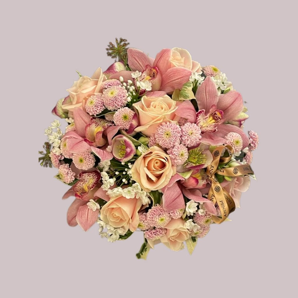 penny-blooms-beans-blush
